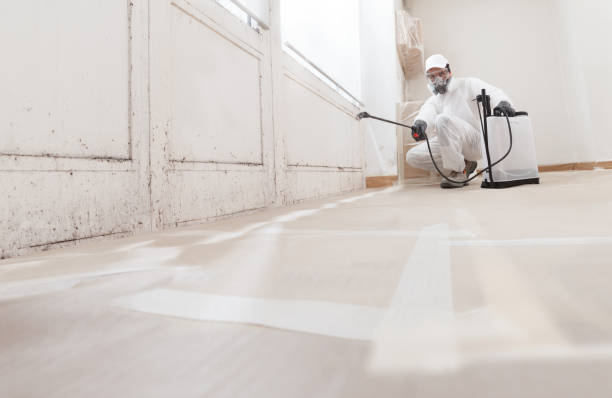 24/7 Emergency Basement Mold Removal experts in Danville, VA